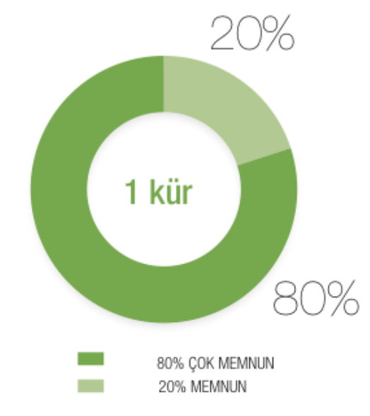 chart1