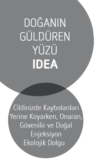 IDEA